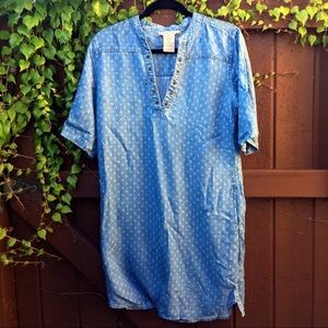 Philosophy chambray Dress